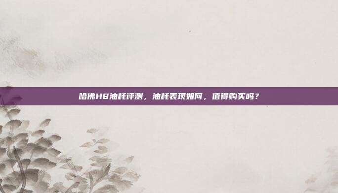 哈佛H8油耗评测，油耗表现如何，值得购买吗？