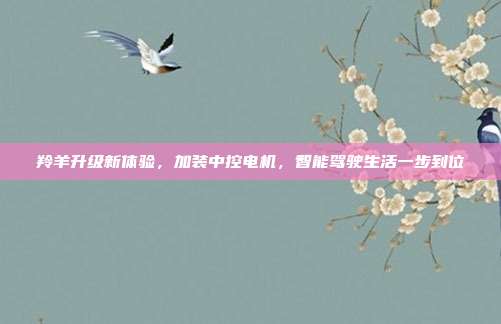 羚羊升级新体验，加装中控电机，智能驾驶生活一步到位