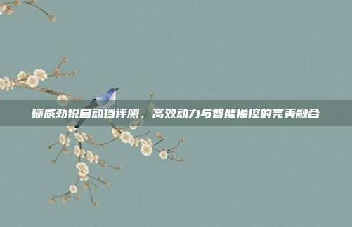 骊威劲锐自动挡评测，高效动力与智能操控的完美融合