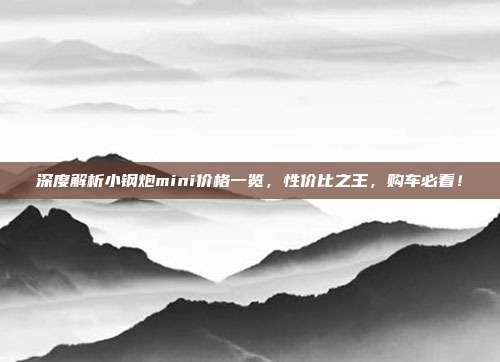 深度解析小钢炮mini价格一览，性价比之王，购车必看！