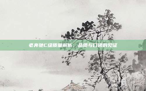 老奔驰C级质量解析，品质与口碑的见证