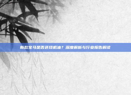 新款宝马是否还烧机油？深度解析与行业报告解读