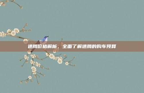速腾价格解析，全面了解速腾的购车预算