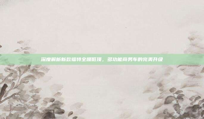 深度解析新款福特全顺低顶，多功能商务车的完美升级