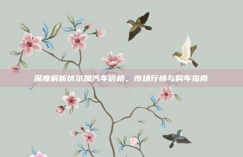 深度解析伏尔加汽车价格，市场行情与购车指南