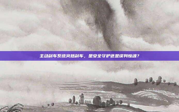 主动刹车系统突然刹车，是安全守护还是误判惊魂？