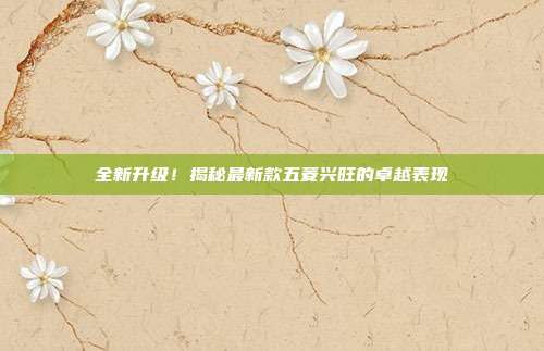 全新升级！揭秘最新款五菱兴旺的卓越表现