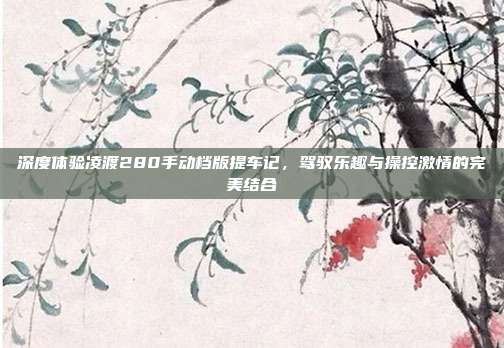 深度体验凌渡280手动档版提车记，驾驭乐趣与操控激情的完美结合