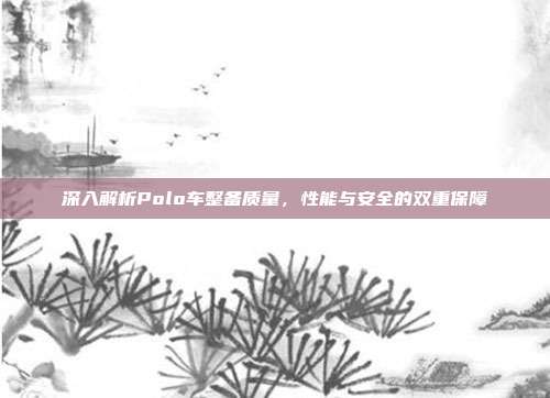 深入解析Polo车整备质量，性能与安全的双重保障