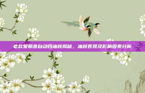 老款爱丽舍自动挡油耗揭秘，油耗表现及影响因素分析