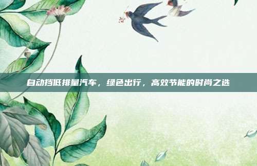 自动挡低排量汽车，绿色出行，高效节能的时尚之选