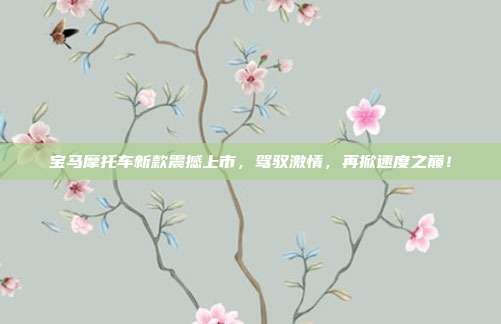 宝马摩托车新款震撼上市，驾驭激情，再掀速度之巅！