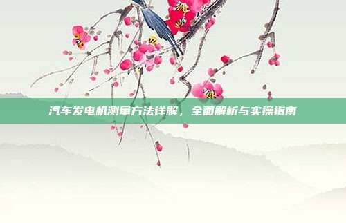 汽车发电机测量方法详解，全面解析与实操指南