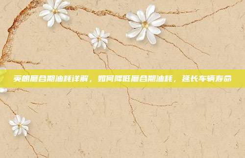 英朗磨合期油耗详解，如何降低磨合期油耗，延长车辆寿命
