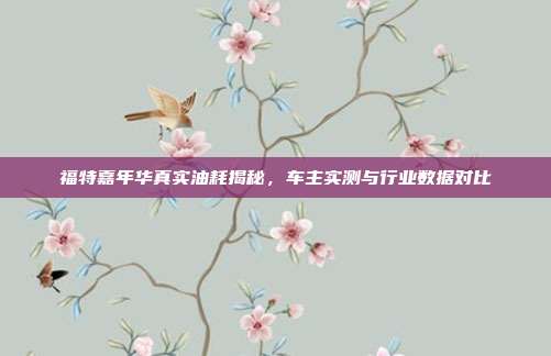 福特嘉年华真实油耗揭秘，车主实测与行业数据对比