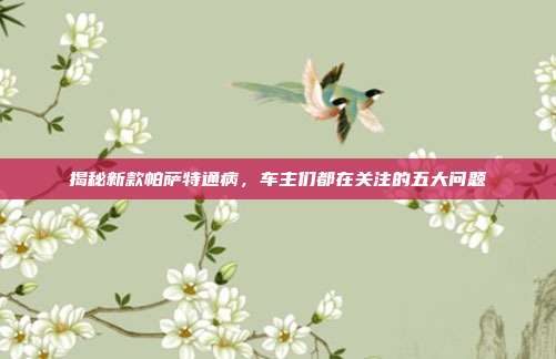 揭秘新款帕萨特通病，车主们都在关注的五大问题