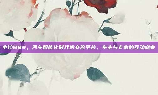 中控BBS，汽车智能化时代的交流平台，车主与专家的互动盛宴