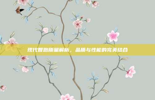 现代智跑质量解析，品质与性能的完美结合