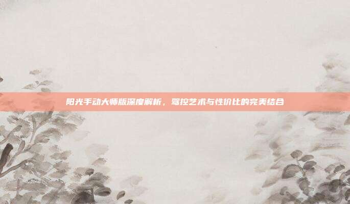 阳光手动大师版深度解析，驾控艺术与性价比的完美结合