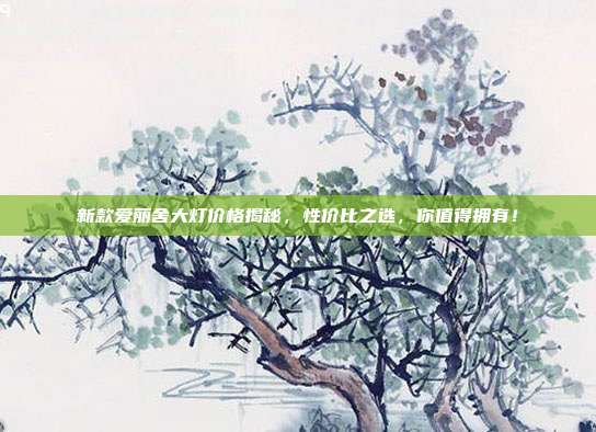 新款爱丽舍大灯价格揭秘，性价比之选，你值得拥有！