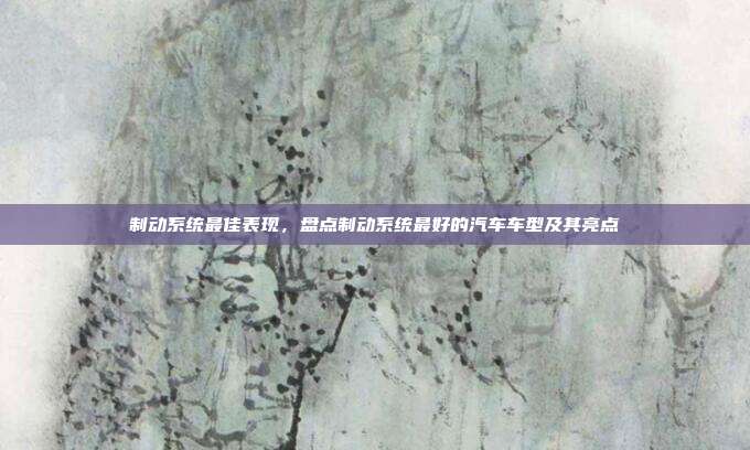 制动系统最佳表现，盘点制动系统最好的汽车车型及其亮点