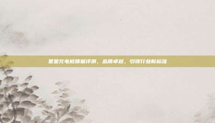 星星充电桩质量评测，品质卓越，引领行业新标准