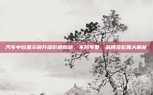 汽车中控显示屏升级价格揭秘，不同车型、品牌及配置大解析