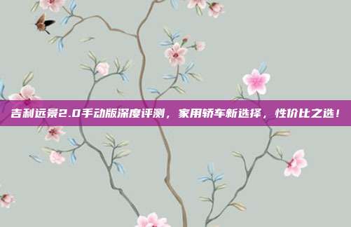 吉利远景2.0手动版深度评测，家用轿车新选择，性价比之选！