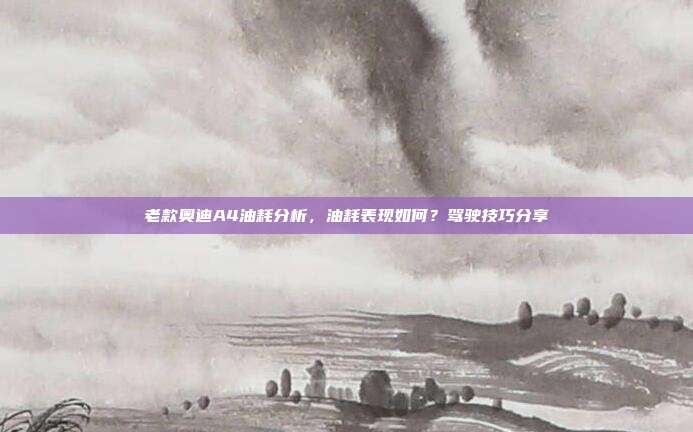 老款奥迪A4油耗分析，油耗表现如何？驾驶技巧分享