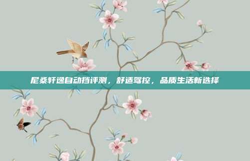 尼桑轩逸自动挡评测，舒适驾控，品质生活新选择