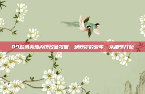 09款凯美瑞内饰改色攻略，焕新你的爱车，从细节开始