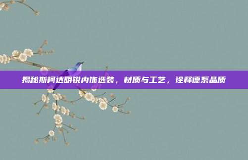 揭秘斯柯达明锐内饰选装，材质与工艺，诠释德系品质