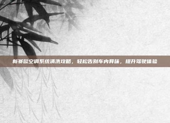 新赛欧空调系统清洗攻略，轻松告别车内异味，提升驾驶体验