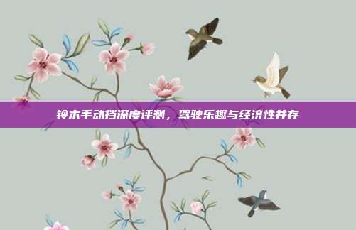 铃木手动挡深度评测，驾驶乐趣与经济性并存