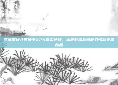 深度解析北汽绅宝X25真实油耗，油耗数据与驾驶习惯的完美结合