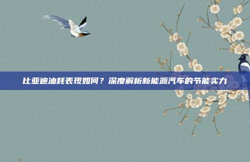 比亚迪油耗表现如何？深度解析新能源汽车的节能实力