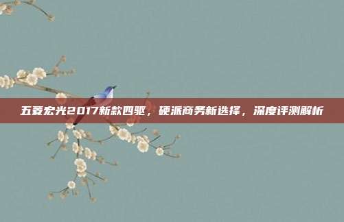 五菱宏光2017新款四驱，硬派商务新选择，深度评测解析