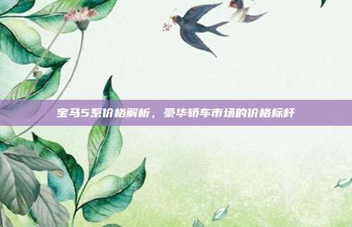 宝马5系价格解析，豪华轿车市场的价格标杆