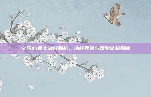 宝马X1真实油耗解析，油耗表现与驾驶体验揭秘