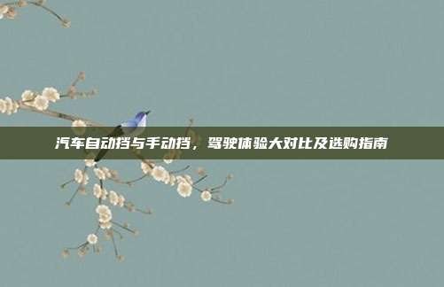 汽车自动挡与手动挡，驾驶体验大对比及选购指南