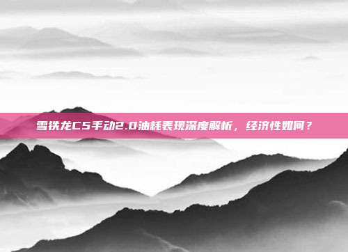 雪铁龙C5手动2.0油耗表现深度解析，经济性如何？