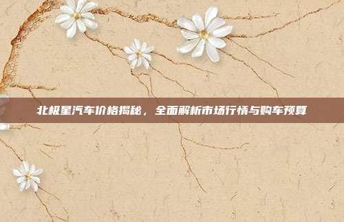 北极星汽车价格揭秘，全面解析市场行情与购车预算