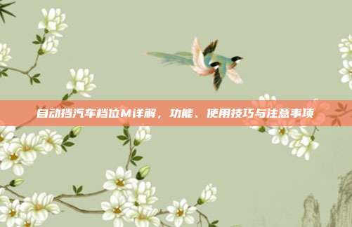 自动挡汽车档位M详解，功能、使用技巧与注意事项