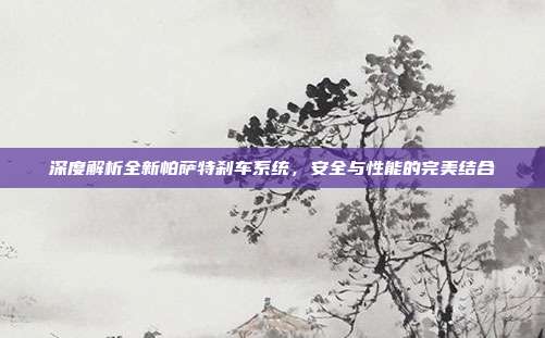 深度解析全新帕萨特刹车系统，安全与性能的完美结合