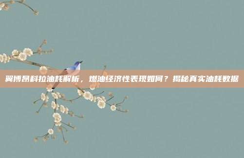 翼博昂科拉油耗解析，燃油经济性表现如何？揭秘真实油耗数据