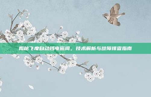 揭秘飞度自动挡电磁阀，技术解析与故障排查指南