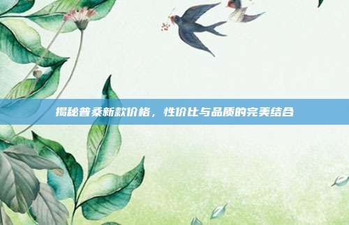 揭秘普桑新款价格，性价比与品质的完美结合