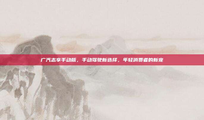 广汽志享手动版，手动驾驶新选择，年轻消费者的新宠