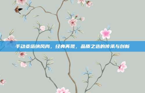 手动桑塔纳风尚，经典再现，品质之选的传承与创新