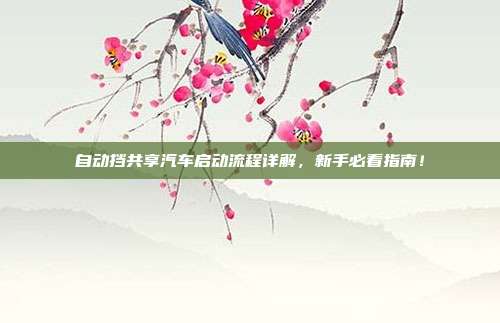 自动挡共享汽车启动流程详解，新手必看指南！
